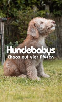 Hundebabys - Chaos auf vier Pfoten