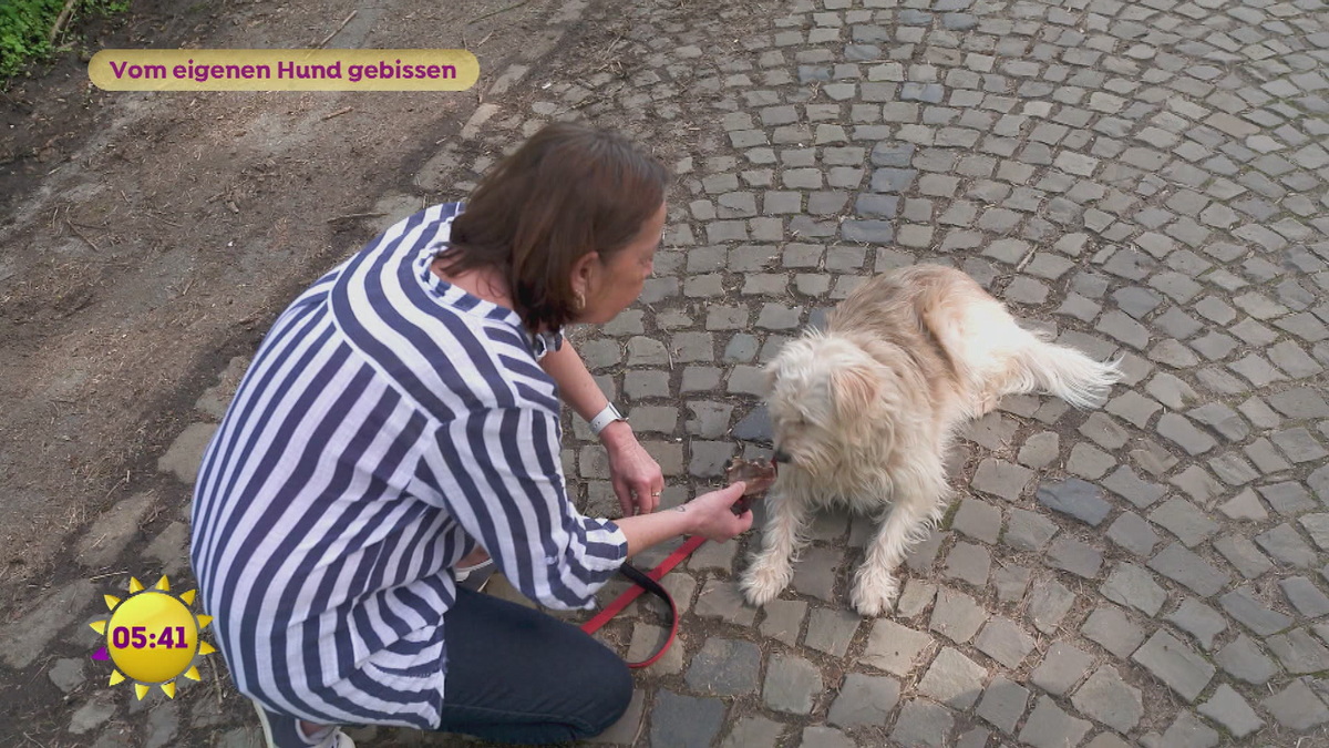 Vom eigenen Hund gebissen