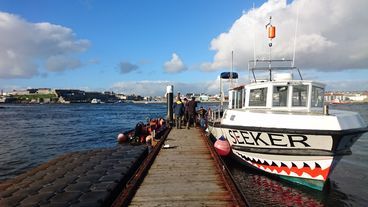 Tödliche U-Boote