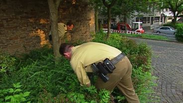 Angriff der Killer-Küken 