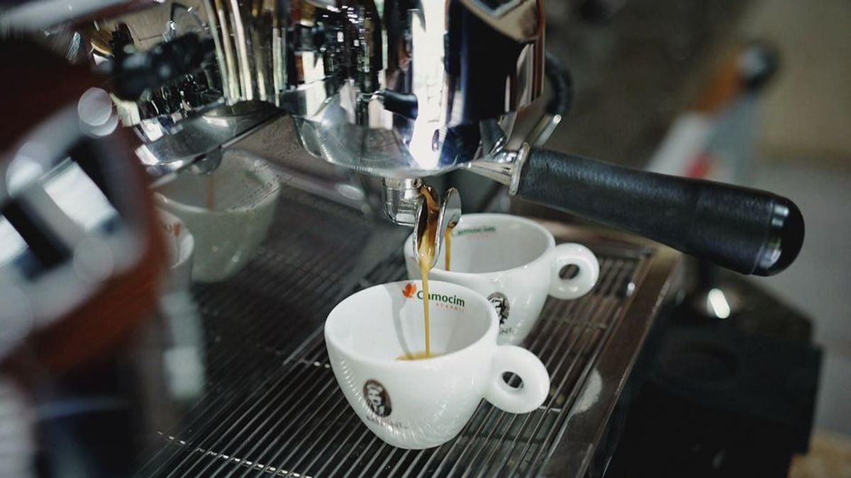 Der Schatz des Regenwalds: Auf den Spuren eines der teuersten Kaffees der Welt