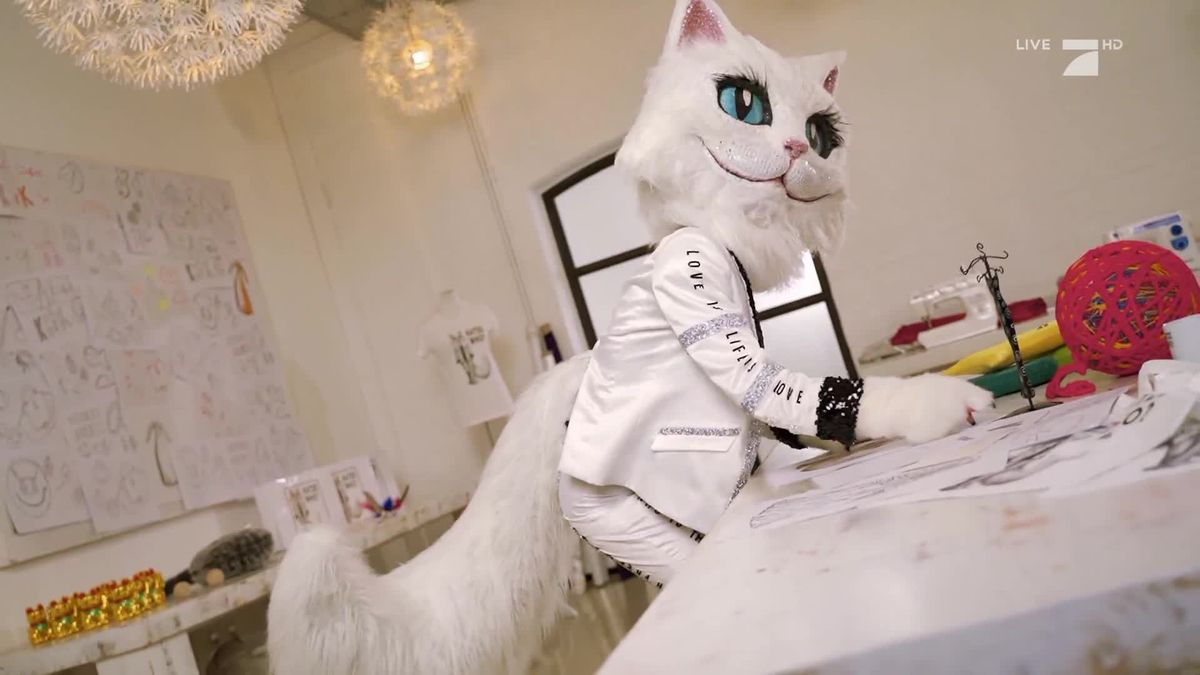 The Masked Singer