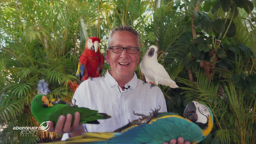 Abenteuer Leben täglich - Dirk Hoffmann auf kulinarischer Tour: Hawaii