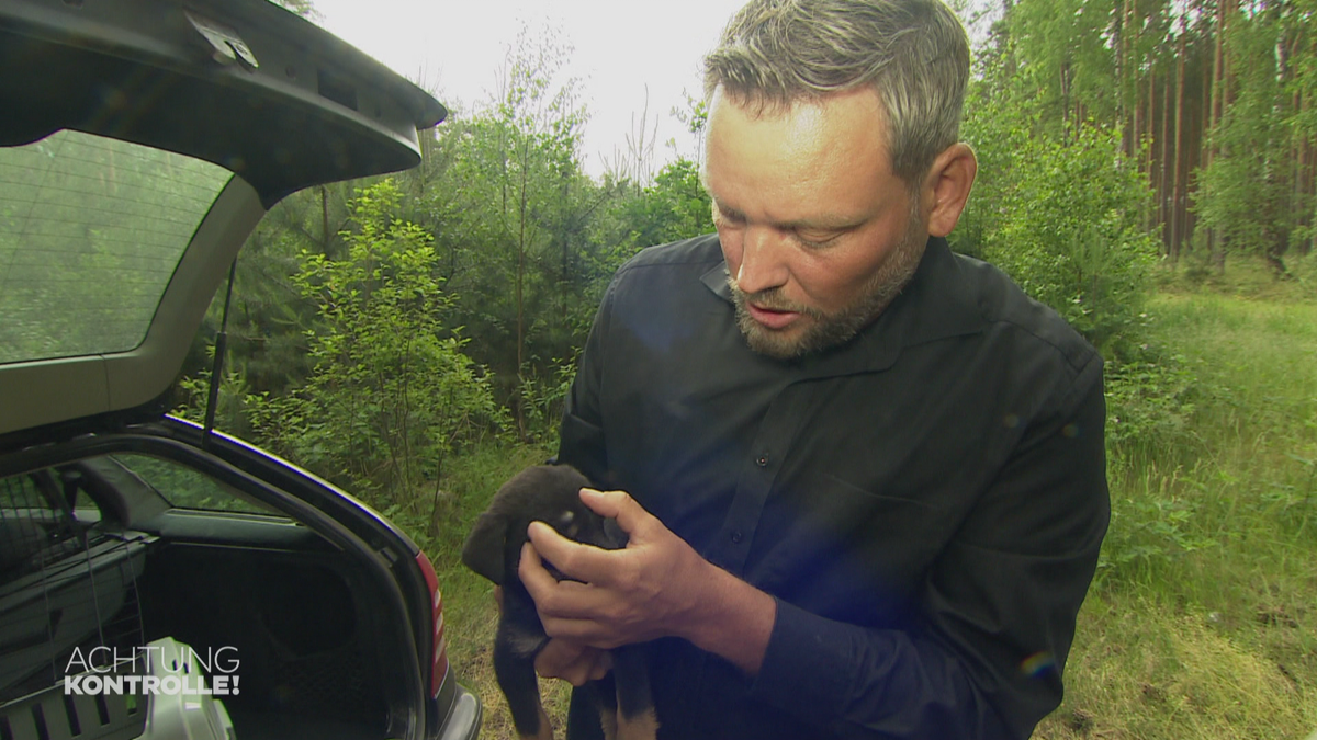 Hundewelpen für Vodka – Tierschützer Stefan Klippstein