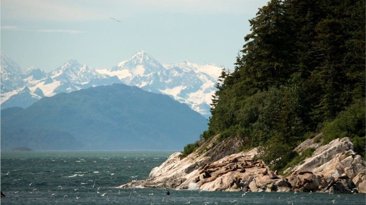 Schwebt hier ein UFO in Alaska über das Wasser?