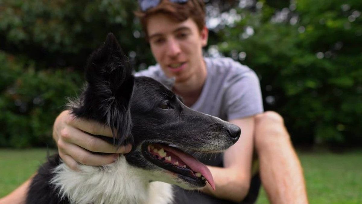 An Hunden getestet: Neues Medikament soll Lebensspanne verlängern