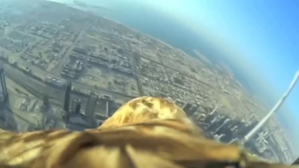 Auf einem Adler über Dubai