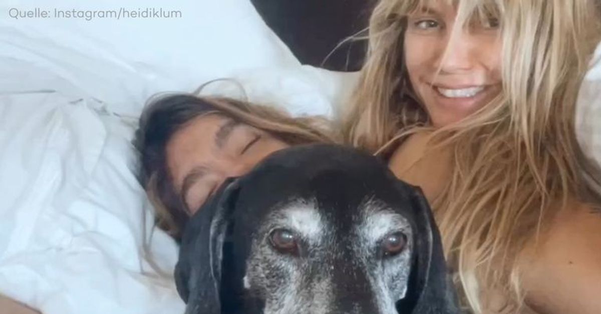 Heidi Klum und Tom Kaulitz trauern um ihren Hund