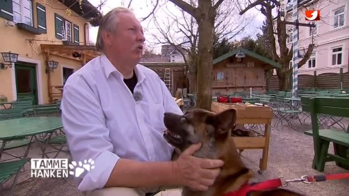 K1 Reportage Spezial