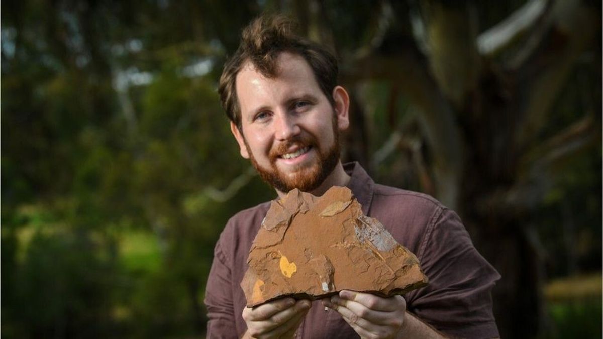 Sensations-Fund: 15 Mio. Jahre alte Fossilien bieten unglaublichen Einblick in den australischen Urwald