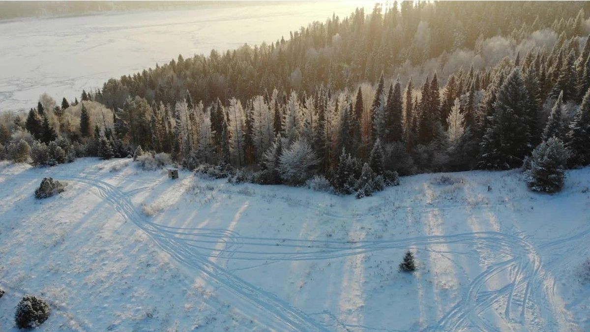 Arctic Outbreak: Nächste Woche sollen es bis zu -15 Grad werden