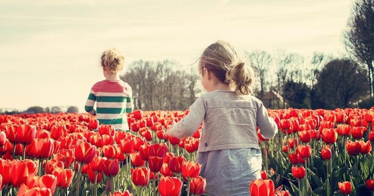 20. März: 3 Dinge, die den Frühlingsbeginn so besonders machen