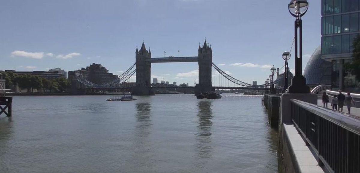 Kokain in der Themse: Londoner Aale leiden unter den Drogen
