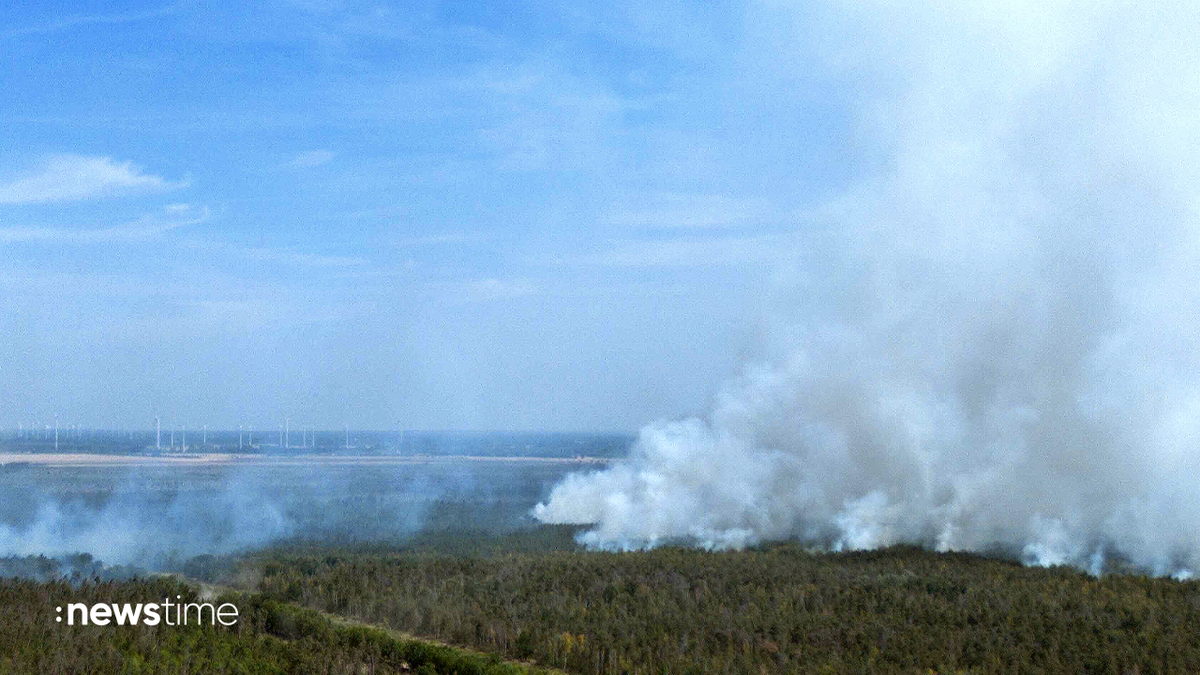 Verheerende Waldbrände in Gohrischheide