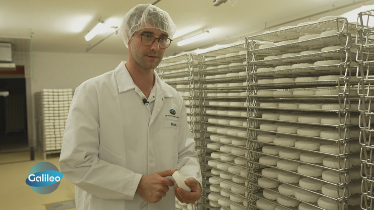 Rund, weiß, cremig: Camembert aus der Normandie vs. deutsche Käsefabrik