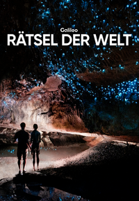 Galileo Rätsel der Welt