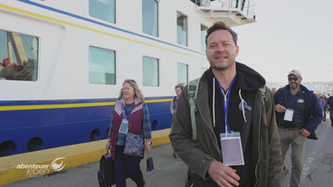 Expeditions-Kreuzfahrt ans Kap Hoorn: Abenteuer oder Luxus?