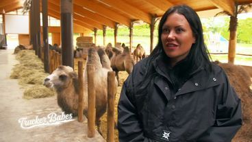 Gina schmust mit Kamelen auf Bayerns größtem Kamelhof