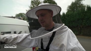 Wilde Wespen mischen Hühner auf: Schädlingsbekämpfer Gelsenkirchen