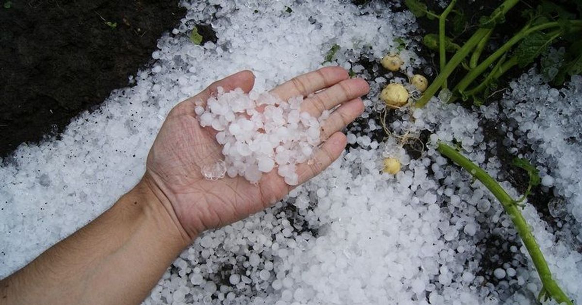 Wetter in Deutschland: Hier drohen Hagel und Sturmböen bis zu 85km/h