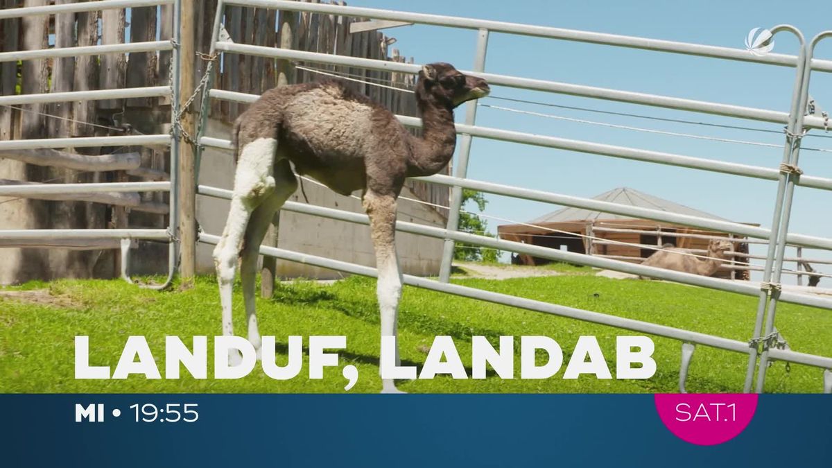 landuf, landab