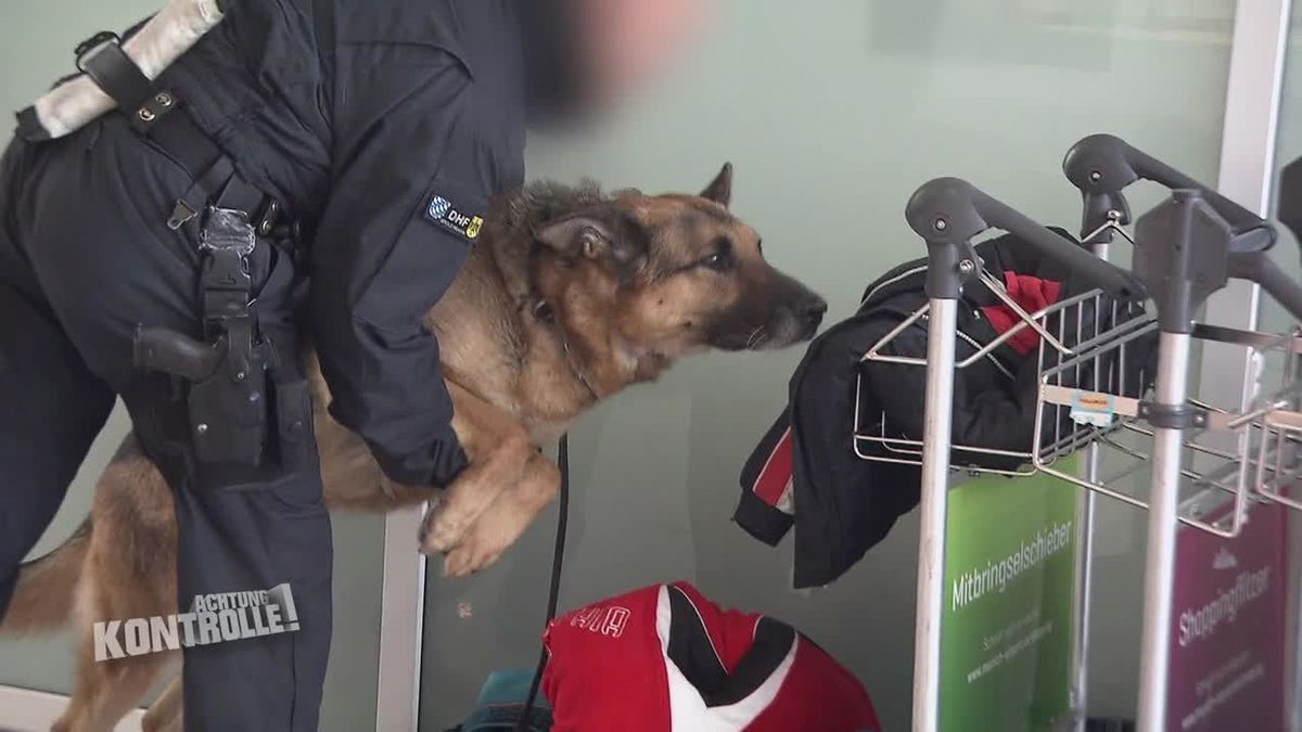 Achtung Kontrolle! Einsatz für die Ordnungshüter