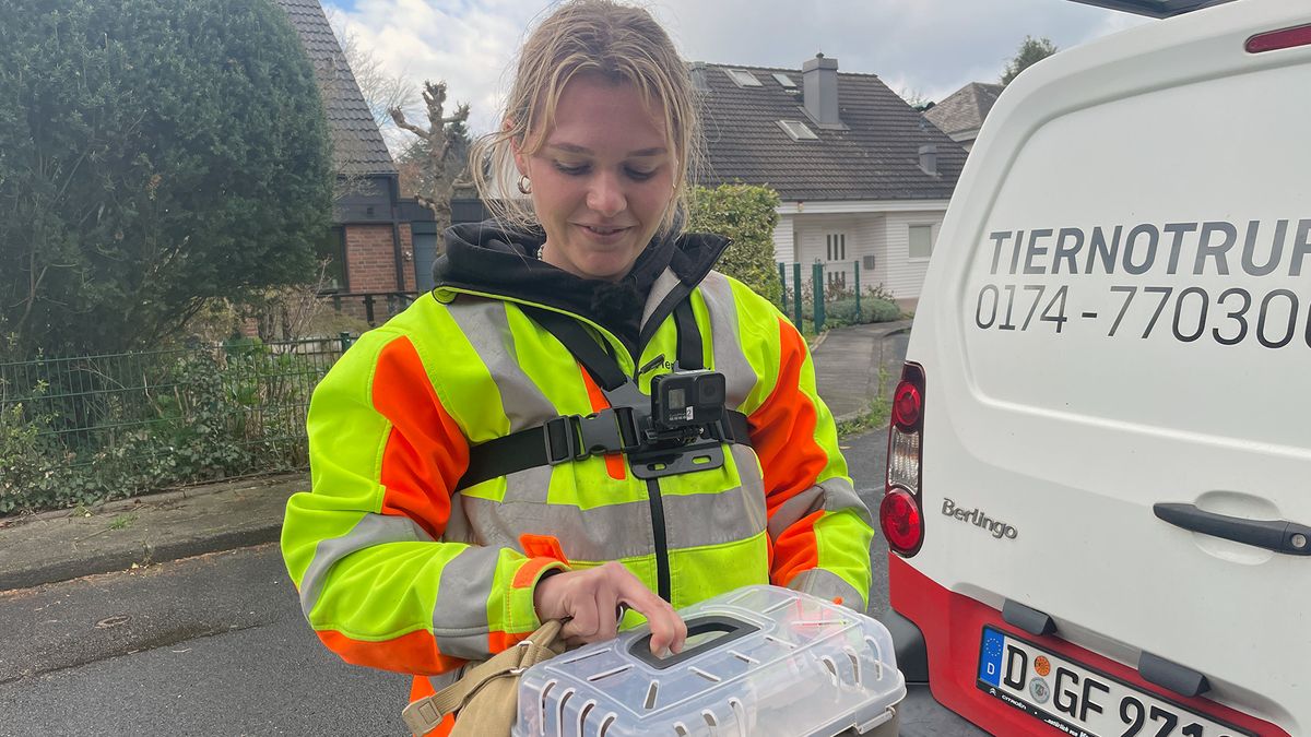 Warzenente und Eichhörnchen in Not - Tierretterin Coco