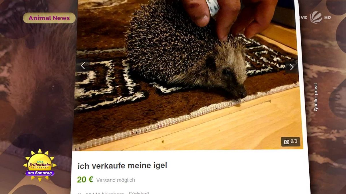 01.07.2022