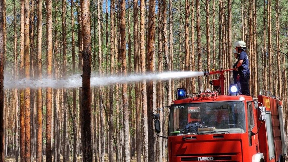 Waldbrände erwartet: Diese Gefahren erwarten uns im Sommer