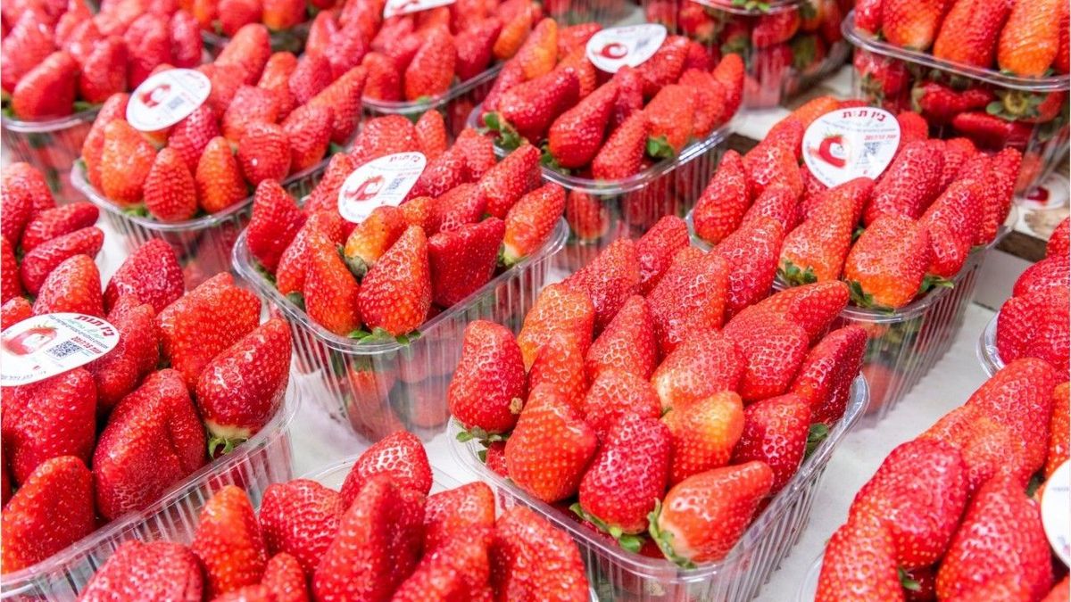 Aus diesem Grund sollte man jetzt noch keine Erdbeeren kaufen