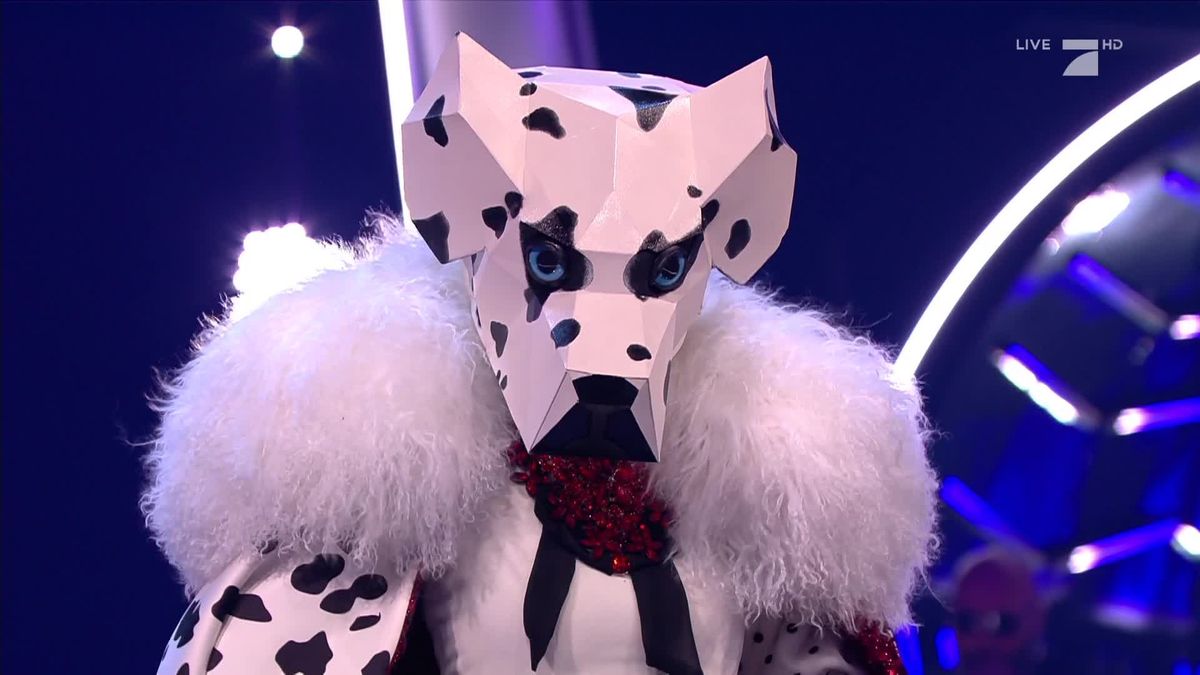 The Masked Singer