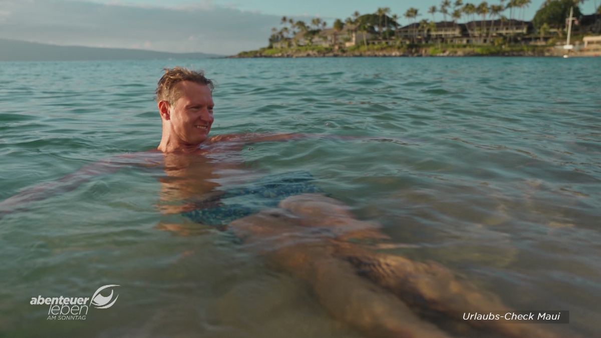 Cornel auf Maui