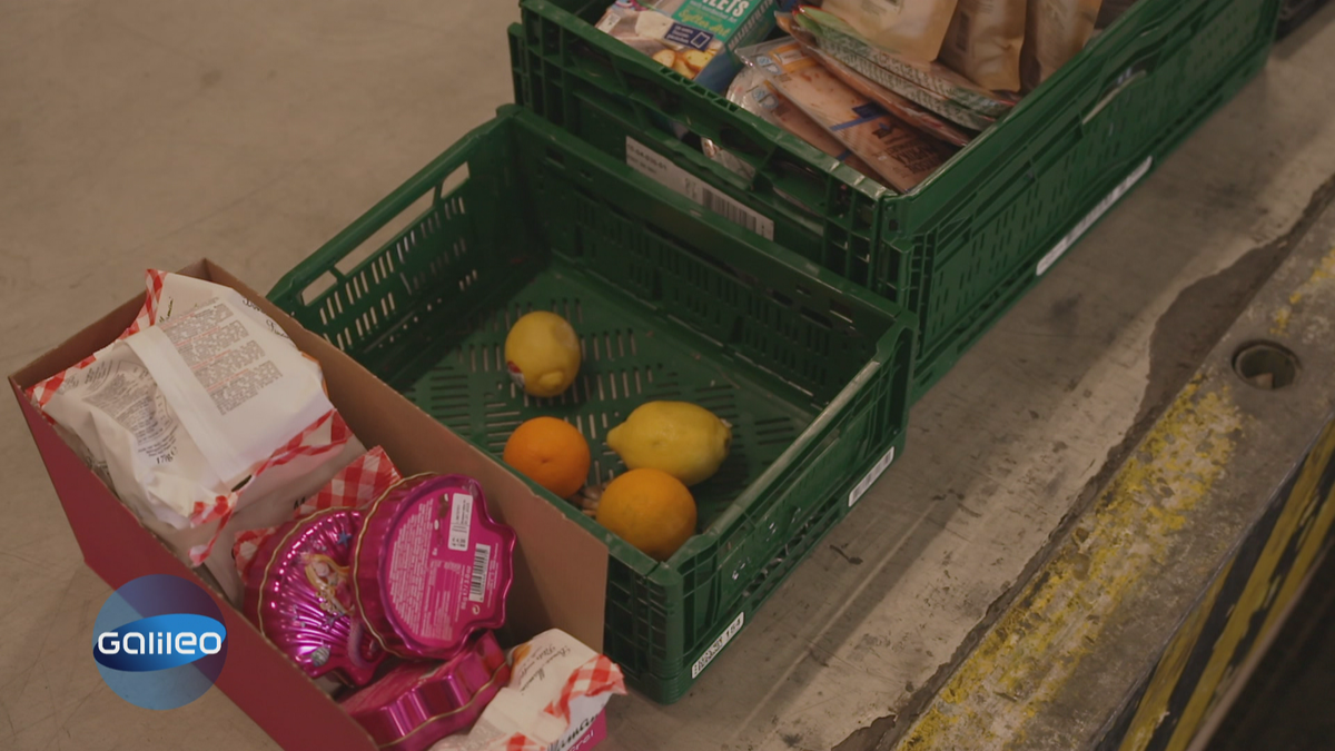 Von wegen für die Tonne: Das Dilemma mit dem Containern