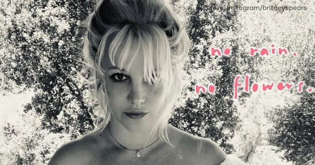 "Kein Regen, keine Blumen": Was will Britney Spears damit sagen?