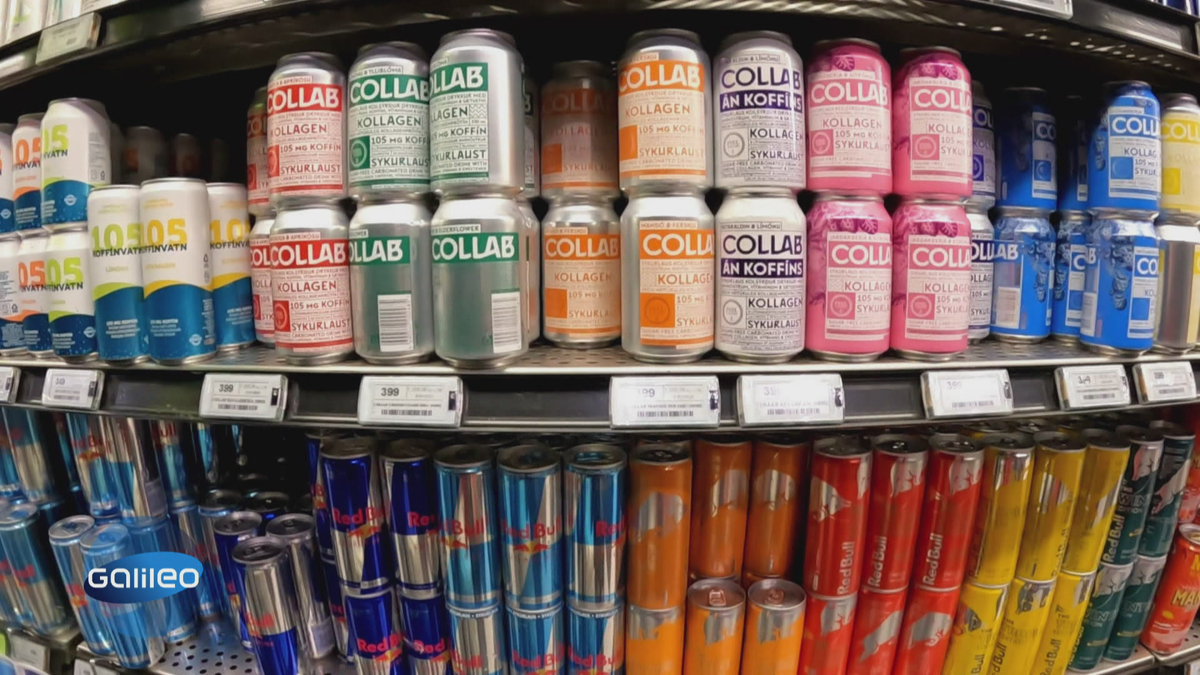 Wie aus Fischabfällen Energydrinks werden