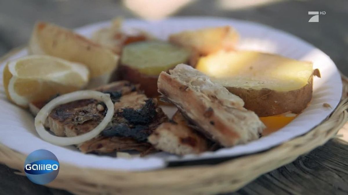 Jumbo auf Delikatessensuche: die exotischsten Grillideen aus Südafrika