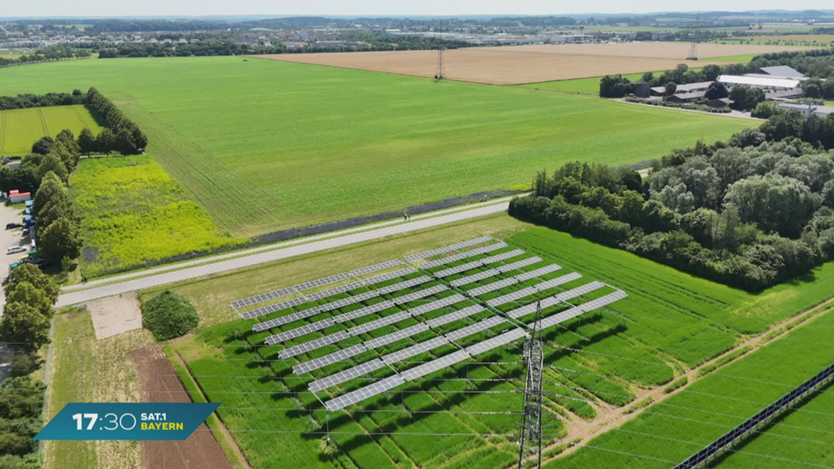 Agri-Photovoltaik in Bayern: Anlage in Grub startet Betrieb