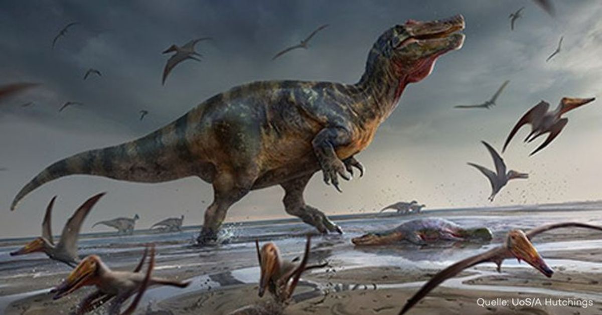 Sensation: Forscher entdecken "größten Raubsaurier Europas"