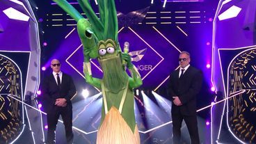 Enthüllung: Diese Fernsehmoderatorin begeisterte als Lauch