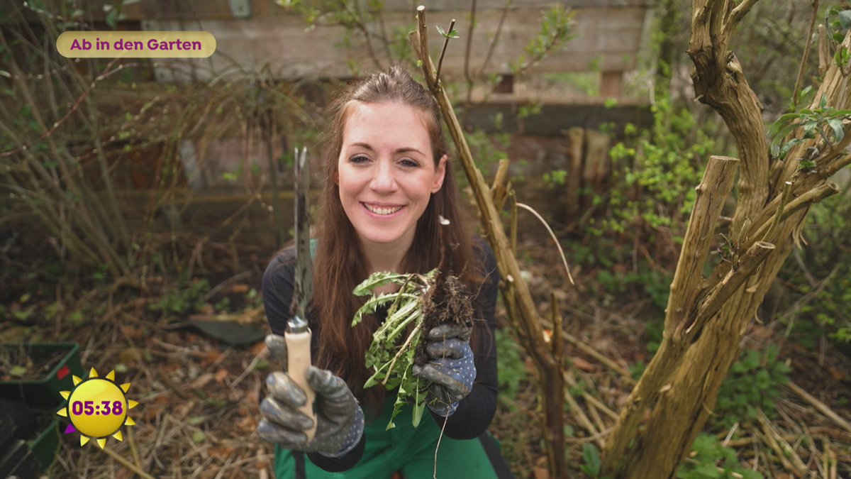 Must-haves für den Garten