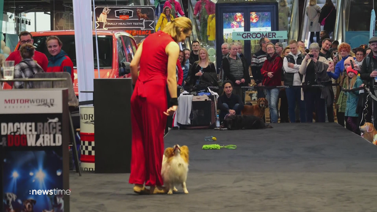 Hunde-Fans im Glück: Dog World München bietet alles für die Vierbeiner