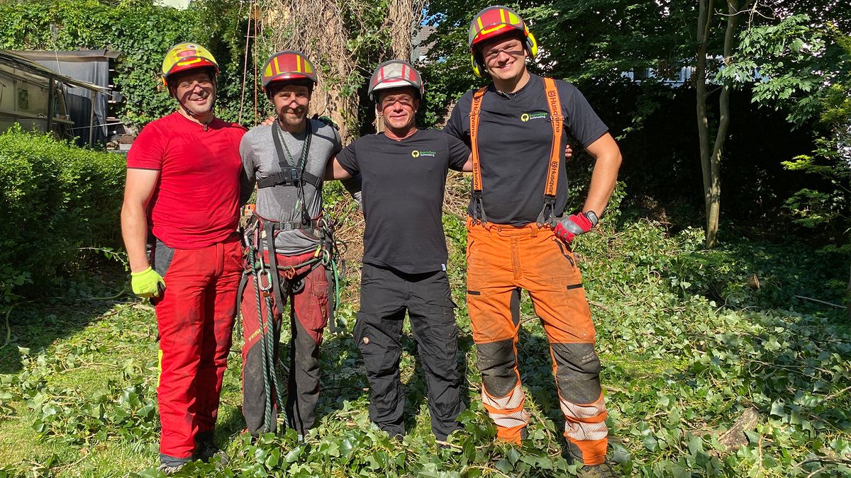 Gefahr im Innenhof! Baumfällen in luftigen Höhen