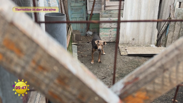 Tierretter in der Ukraine – Teil 2