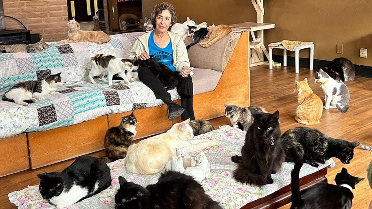 Über 800 Katzen in einem Haus: Die ultimative Cat-Lady