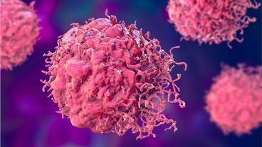 Studie: Ausdauertraining kann Krebsrisiko massiv senken und Tumorentwicklung hemmen