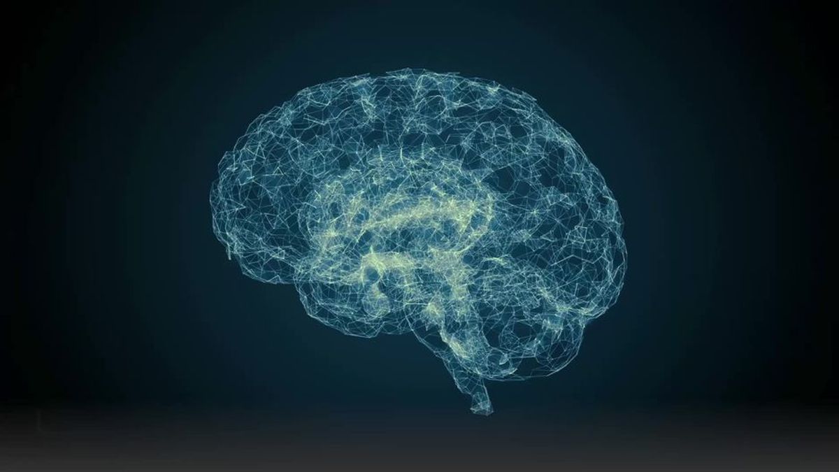 Sensations-Entdeckung: Unser Gehirn schrumpft im Weltall