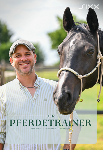 Der Pferdetrainer - Verstehen. Vertrauen. Verbinden. Image