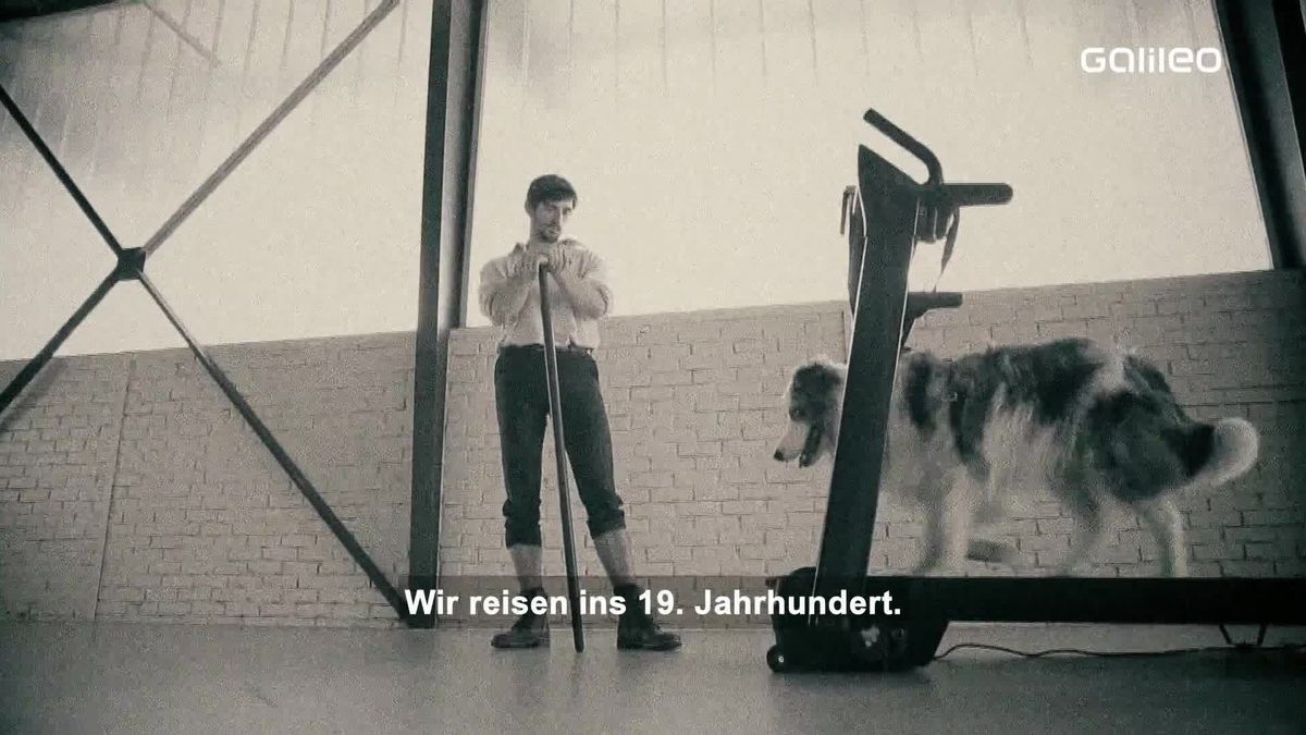 Laufband und Stairmaster: So sind sie entstanden