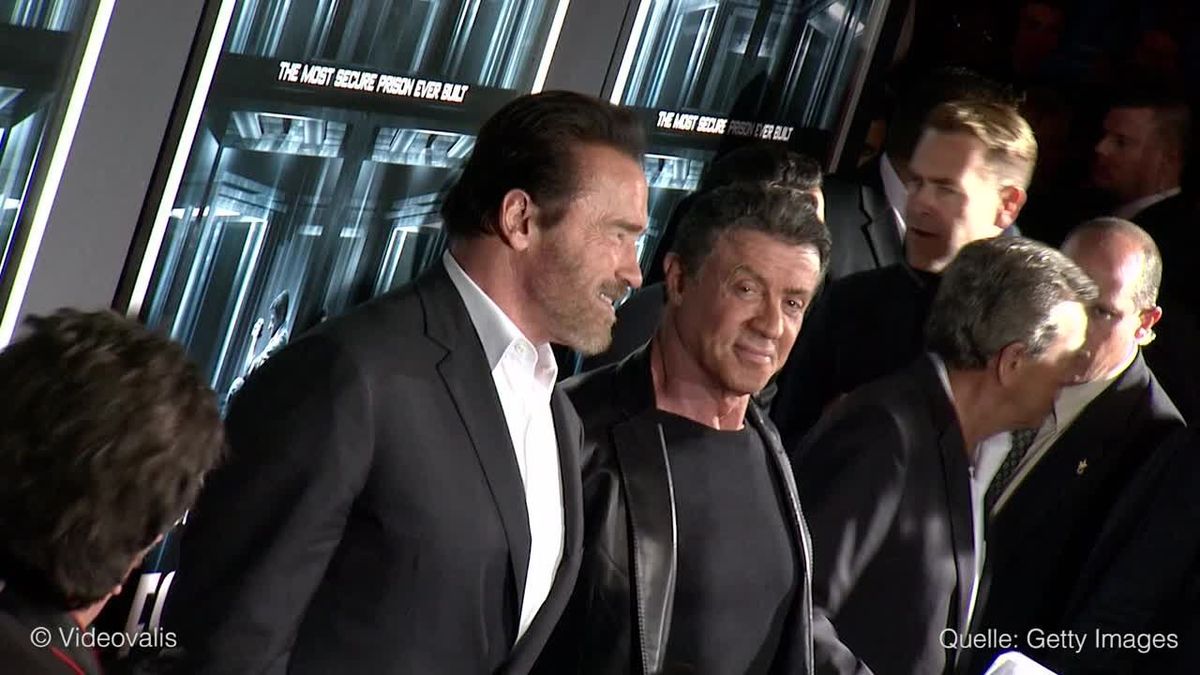 Sylvester Stallone ohne Oscar: Trost-Video von Arnie