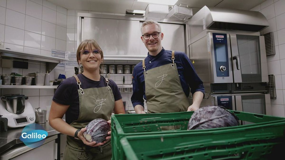 Deutscher TK-Marktführer vs. Familienbetrieb: Was macht guten Rotkohl aus?